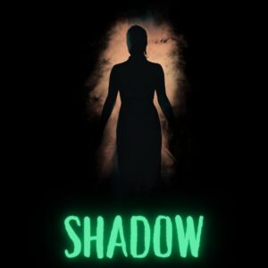 Read more about the article SHADOW